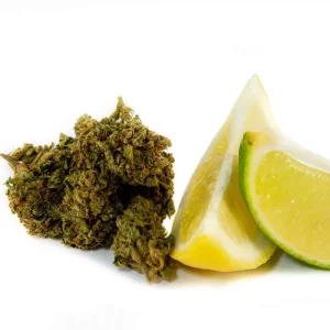 CBD flores de Sour Lemon 1