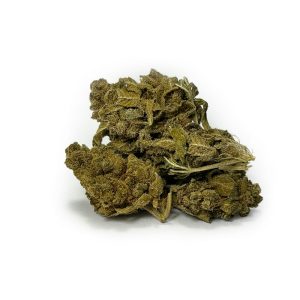 Aged CBD Buds 1