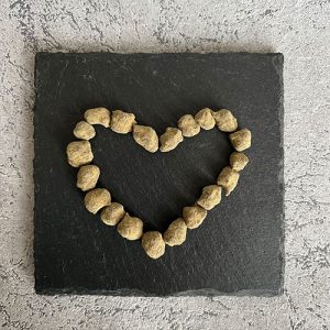 ¿Qué son los Moon Rocks y qué los hace tan especiales?