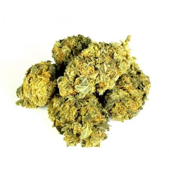 Outdoor Mix Flores de CBD Flores CBD outdoor mix CBD-outdoor-mix 1 1
