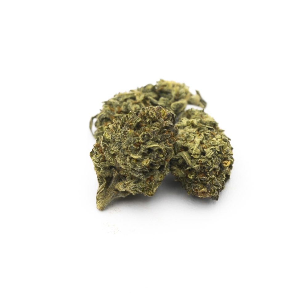 Flores CBD Mango Kush Flores CBD Mango Kush CBD-mango-kush 1 2