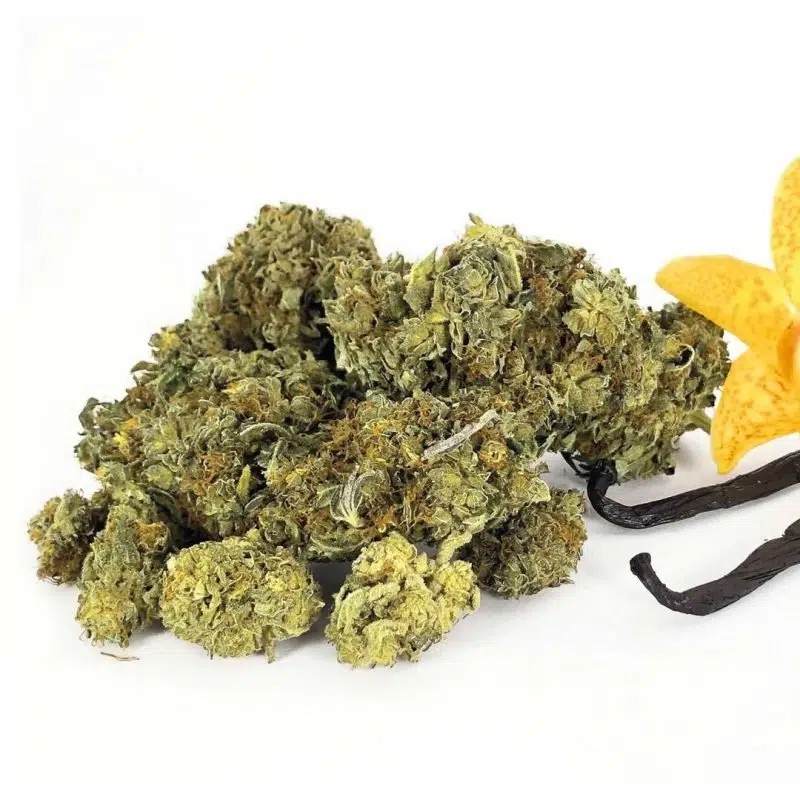 CBN Flores Vanilla Kush CBN Flores Vanilla Kush CBD-vanilla-kush 1 1