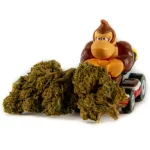 15% HIGH CBD Flores Gorilla Glue 15% HIGH CBD Flores Gorilla Glue 1 1