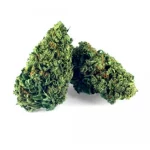 B089-000V-0.jpg Sour Lemon PREMIUM CBD Flores Sour Lemon PREMIUM CBD Flores CBD-sour-lemon-premium 1 1