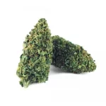 B090-000V-0.jpg Amnesia Haze PREMIUM CBD Flores Amnesia Haze PREMIUM CBD Flores CBD-amnesia-haze-premium 1 1