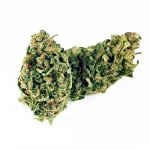 B092-000V-0.jpg Blue Dream PREMIUM CBD Flores Blue Dream PREMIUM CBD Flores CBD-blue-dream-premium 1 1
