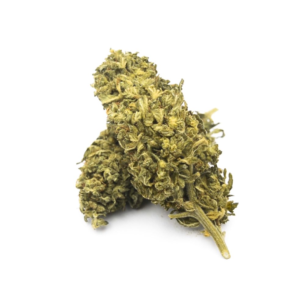 Flores de CBD PREMIUM Blueberry Flores CBD Blueberry PREMIUM CBD-Blue-Berry-Premium 1 2