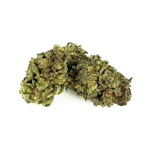 B100-000V-0.jpg 15% CBG/CBD Flores White Rhino 15% CBG/CBD Flores White Rhino CBD-CBG-white-rhino 1 1