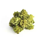 15% HIGH CBD Flores Super Silver Haze 15% HIGH CBD Flores Super Silver Haze 1 1