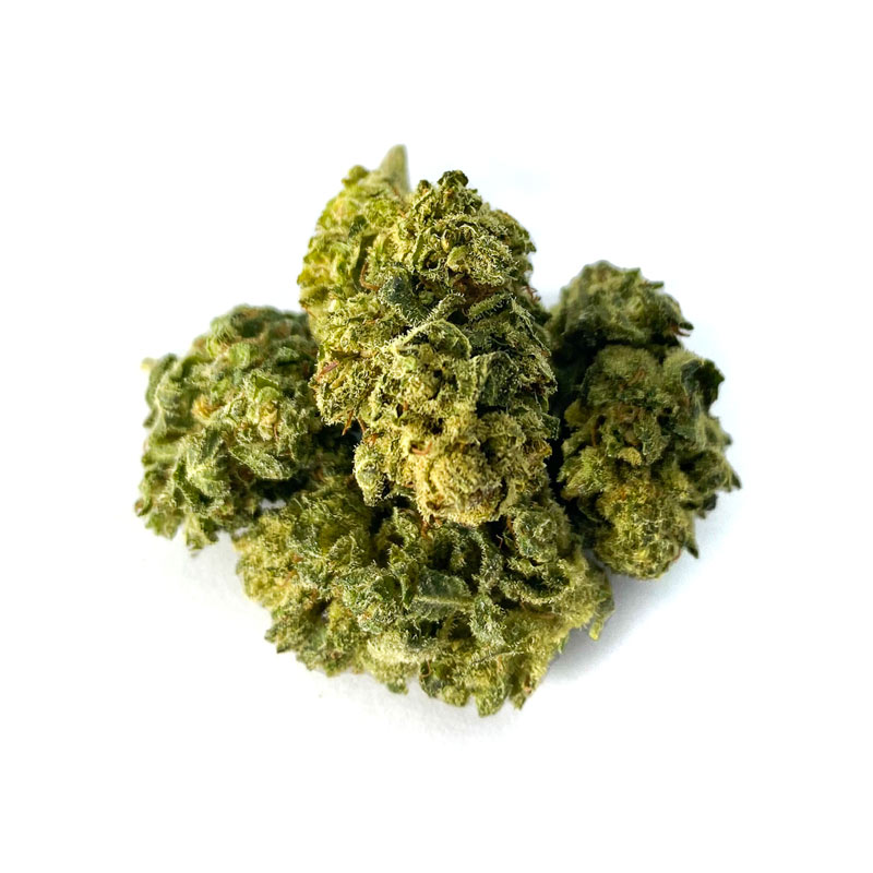 B111-000V-0.jpg CBN Flores Mango Haze CBN Flores Mango Haze cbn-mango-haze 1 1