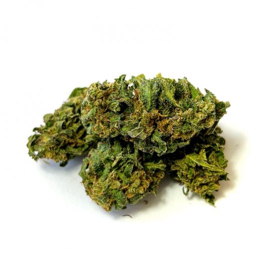 B112-000V-0.jpg CBN Flores Forbidden Fruit CBN Flores Forbidden Fruit cbd-forbidden-fruit-cbn 1 1