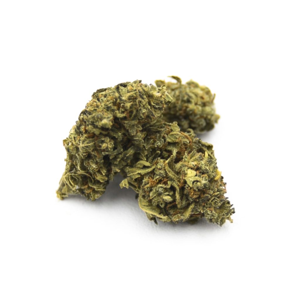 15% HIGH CBD Flores Mango 15% HIGH CBD Flores Mango 1 2
