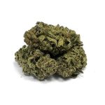 CBN Flores Blue Lavender CBN Flores Blue Lavender 1 1