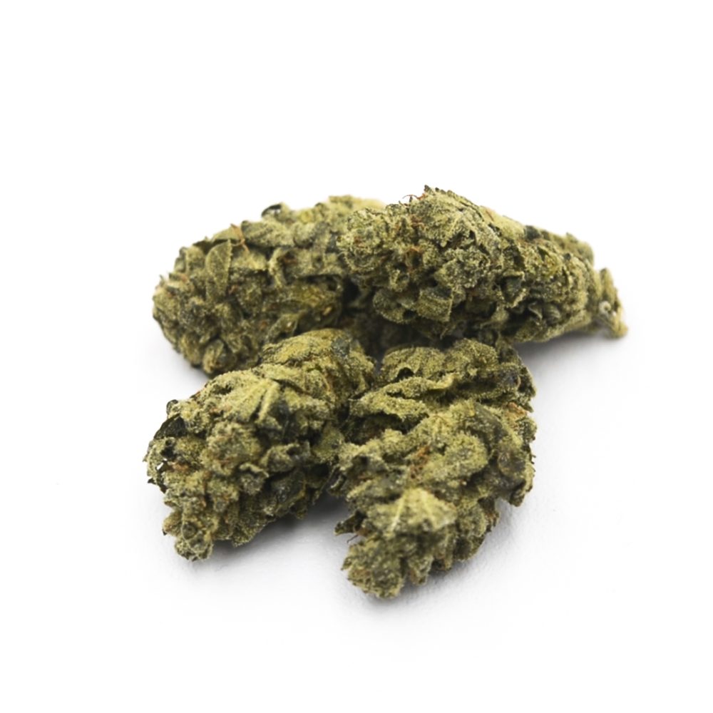 CBN Flores Blue Lavender CBN Flores Blue Lavender 1 2